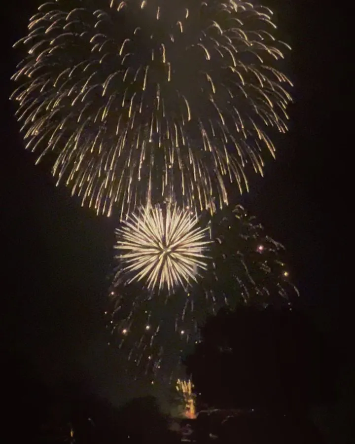 つけち夢まつり　花火大会🎆